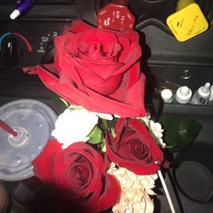 Meet your Posher, Jackey